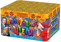 Новогодние цветы Фейерверк купить в Спасске | spassk.salutsklad.ru