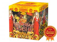 Красивая жизнь Фейерверк купить в Спасске | spassk.salutsklad.ru