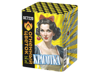 Красотка Батарея салютов купить в Спасске | spassk.salutsklad.ru