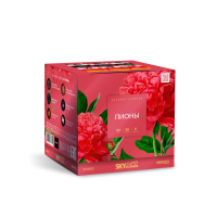 Пионы Салют купить в Спасске | spassk.salutsklad.ru