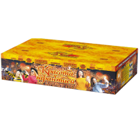 Красота с гарантией Фейерверк купить в Спасске | spassk.salutsklad.ru