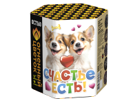 Счастье есть! Салют купить в Спасске | spassk.salutsklad.ru