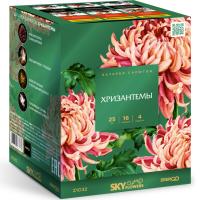 Хризантемы Фейерверк купить в Спасске | spassk.salutsklad.ru