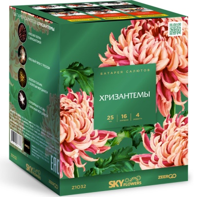Хризантемы Фейерверк купить в Спасске | spassk.salutsklad.ru