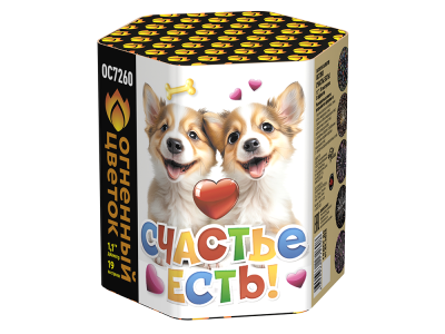 Счастье есть! Салют купить в Спасске | spassk.salutsklad.ru